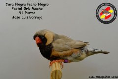 cara-negra-pecho-negro-pastel-gris