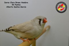 dorso-claro-bruno-hembra