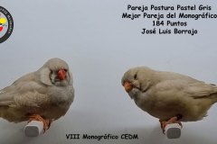 pareja-postura-pastel-gris