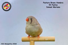 postura-bruno-hembra