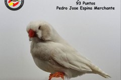 postura-macho-resto-de-mutaciones