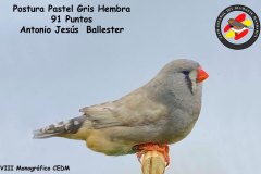 postura-pastel-hembra
