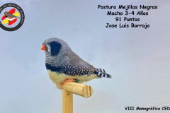 postura-resto-de-mutaciones-3-4-anos-macho