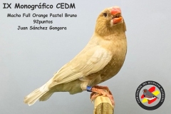 Macho-Full-Orange-Pastel-Bruno