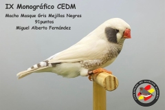 Macho-Masque-Gris-Mejillas-Negras