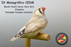 Macho-Pastel-Dorso-Claro-Gris
