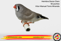 Macho gris 91 puntos Aurelio Ortiz Chacón - 1