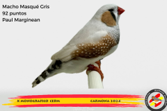 17-Macho-Masque-gris