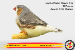 Macho gris 91 puntos Aurelio Ortiz Chacón - 1