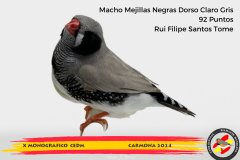 Macho gris 91 puntos Aurelio Ortiz Chacón - 1