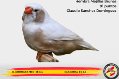 Macho gris 91 puntos Aurelio Ortiz Chacón - 1