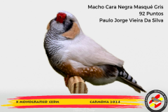 Macho gris 91 puntos Aurelio Ortiz Chacón - 1