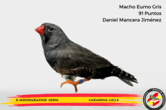 Macho gris 91 puntos Aurelio Ortiz Chacón - 1