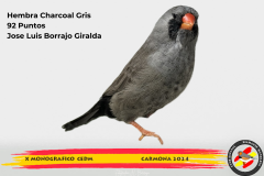 Macho gris 91 puntos Aurelio Ortiz Chacón - 1