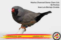 Macho gris 91 puntos Aurelio Ortiz Chacón - 1