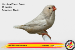 Macho gris 91 puntos Aurelio Ortiz Chacón - 1