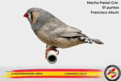 Macho gris 91 puntos Aurelio Ortiz Chacón - 1