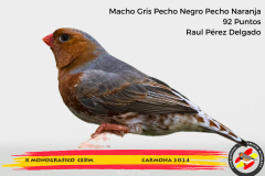 Macho gris 91 puntos Aurelio Ortiz Chacón - 1