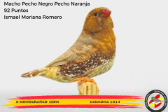 Macho gris 91 puntos Aurelio Ortiz Chacón - 1