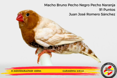 Macho gris 91 puntos Aurelio Ortiz Chacón - 1