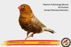 615-macho-fullorange-bruno