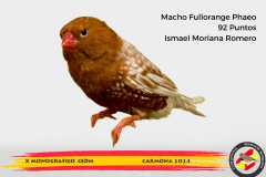 Macho gris 91 puntos Aurelio Ortiz Chacón - 1