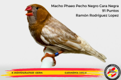 Macho gris 91 puntos Aurelio Ortiz Chacón - 1