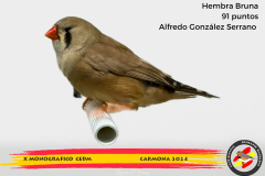 Macho gris 91 puntos Aurelio Ortiz Chacón - 1