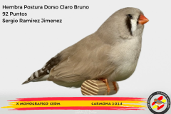 Macho gris 91 puntos Aurelio Ortiz Chacón - 1