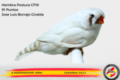 Macho gris 91 puntos Aurelio Ortiz Chacón - 1