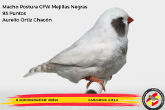 Macho gris 91 puntos Aurelio Ortiz Chacón - 1