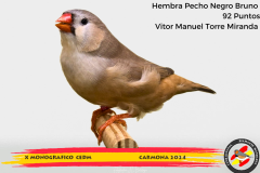 Macho gris 91 puntos Aurelio Ortiz Chacón - 1