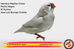 Macho gris 91 puntos Aurelio Ortiz Chacón - 1